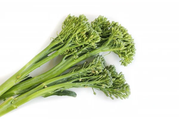 Broccolini na białym tle — Zdjęcie stockowe