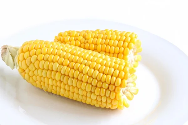 Freshly Cooked Sweet Corn — Stock Photo, Image