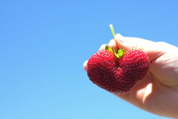 Heart Shaped Strawberry — Stock Photo, Image