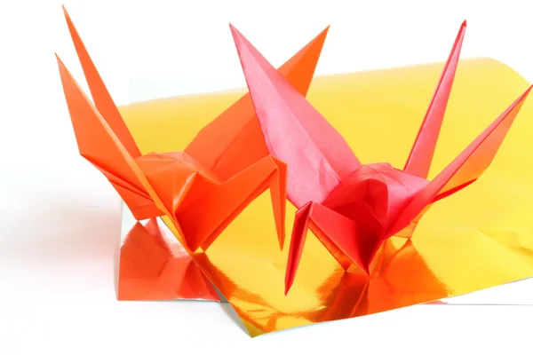 Grue Origami — Photo