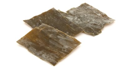 Dried Sea Tangle clipart