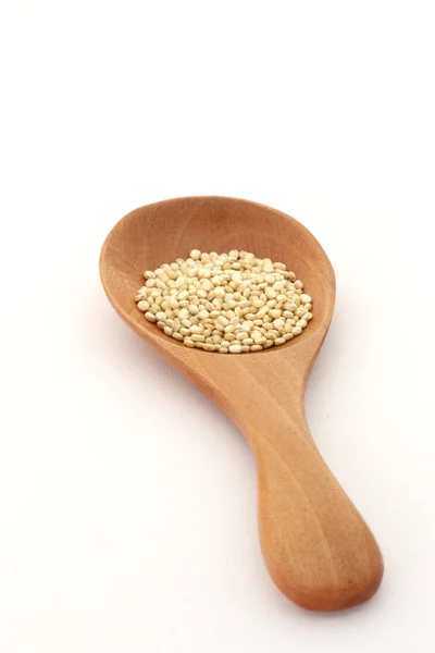 Quinoa Gold — Stock fotografie