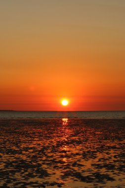 Darwin Harbor gün batımında