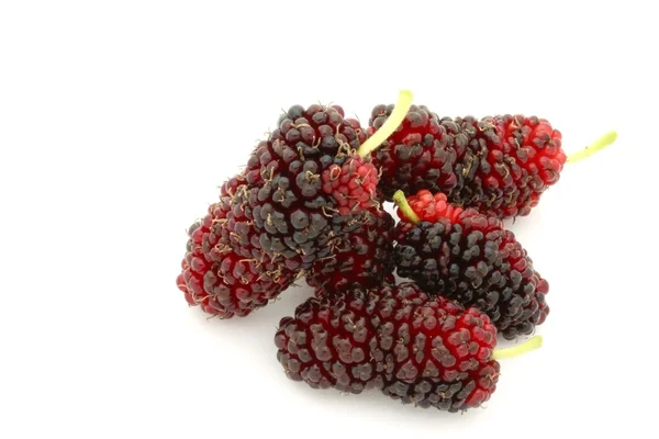 Mulberry — Stock Photo, Image