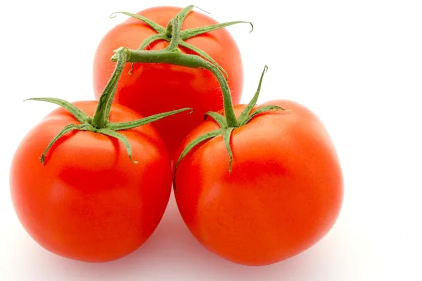 Fresh Red Tomatoes With Stem — Stock Photo, Image