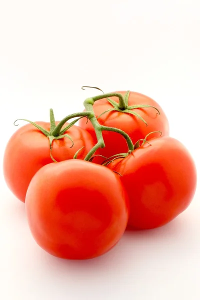 Frische rote Tomaten mit Stiel — Stockfoto