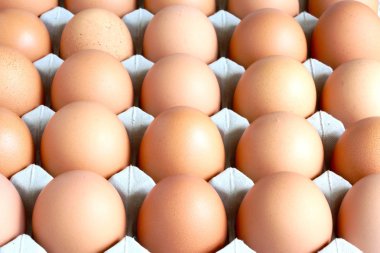 Taze çiftlik yumurtaları tepsi