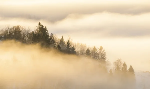 Buongiorno. — Foto Stock