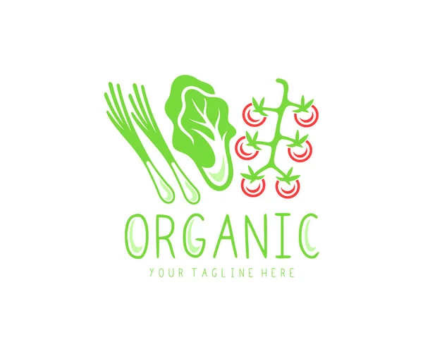 Органические Овощи Органические Продукты Питания Садовые Продукты Питание Диета Дизайн — стоковый вектор