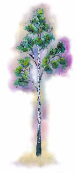 자작 나무. — 스톡 사진