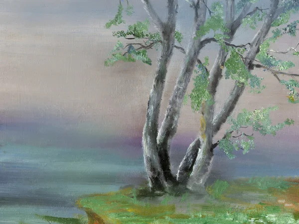 Этюд с деревом на берегу — стоковое фото