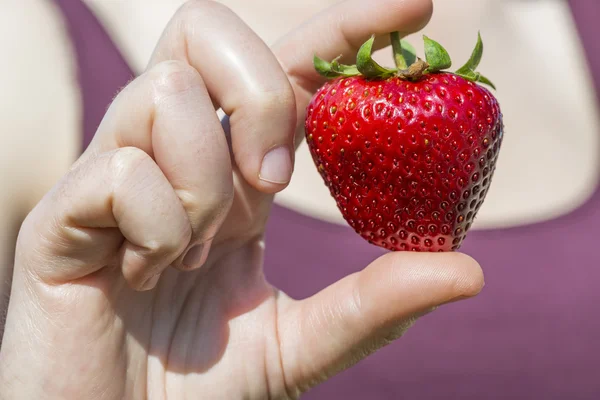 大标本的草莓之间的那个年轻女人的手指 图库图片