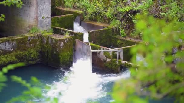 Cachoeira artificial na montanha florestal para produção de eletricidade — Vídeo de Stock