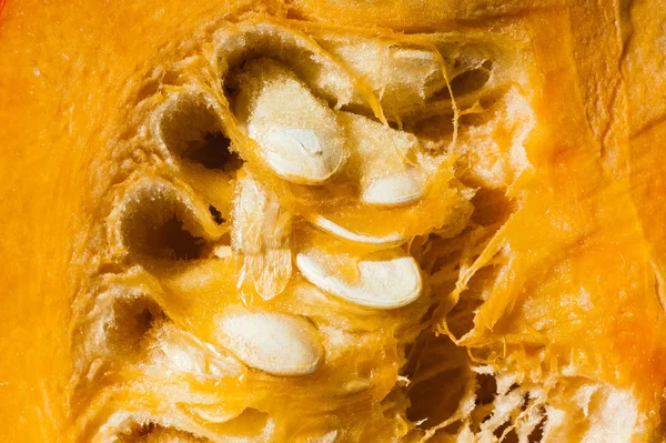 Focus on pulp and seeds of orange pumpkin with macro lens — Stock Photo, Image