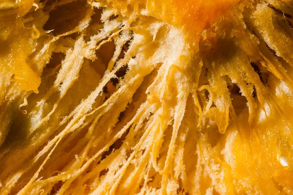 Pulp of orange pumpkin. Macro. — Stock Photo, Image