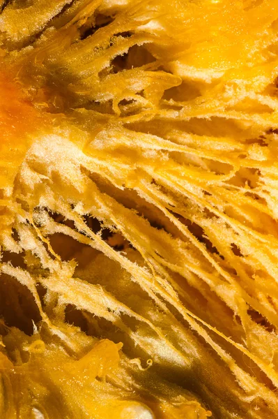 Macro of pulp of orange pumpkin. — Stock Photo, Image