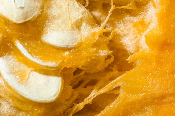 Pulp and seeds of orange pumpkin. Macro. — Stock Photo, Image