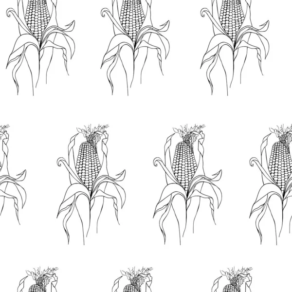 ear of corn seamless cartoons simple illustration