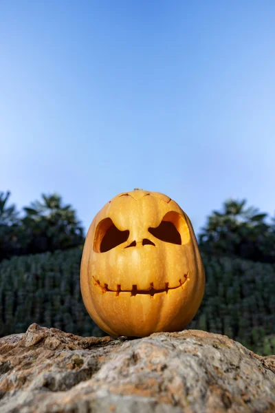 Halloween scary pumpkin with a smile in on a rock — Stock Photo, Image