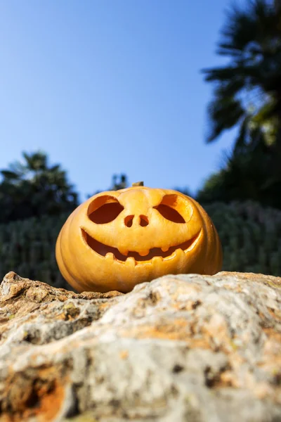 Halloween scary pumpkin with a smile in on a rock — Stock Photo, Image