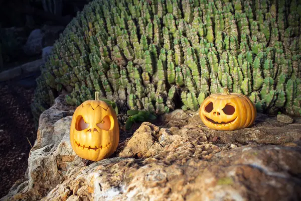 Halloween scary pumpkins with a smile in light on rock — Stock Photo, Image