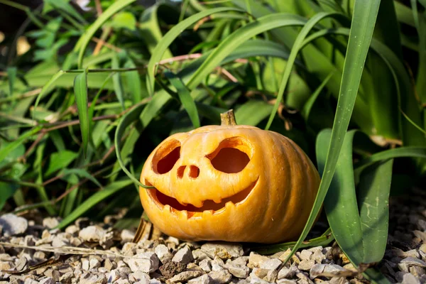 Gruseliger Halloween-Kürbis im Gras-Reisig — Stockfoto