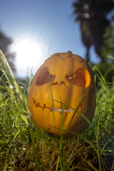 Strašidelné Halloween dýně v trávě gren — Stock fotografie