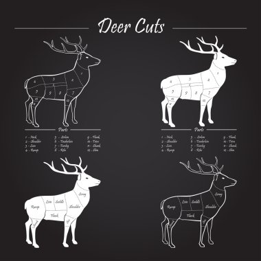 Deer meat cut scheme on blackboard