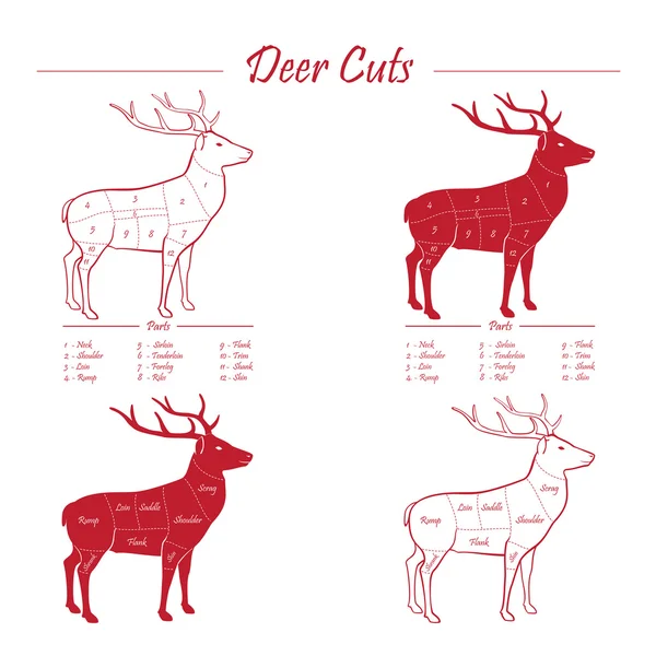 Deer meat cut scheme - elements red on white — Stock vektor