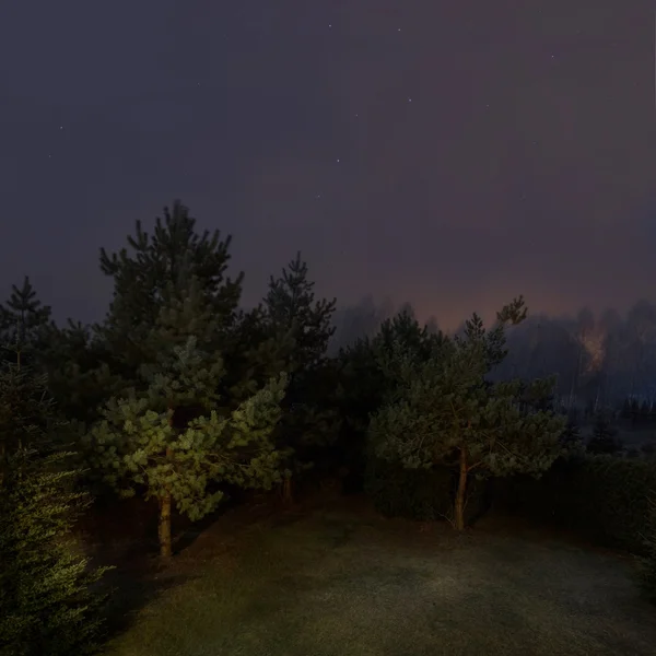 漆黑的夜晚森林景观 — 图库照片