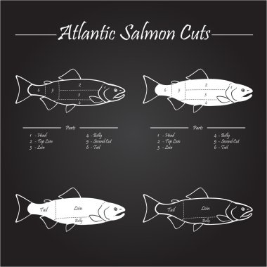 Norveç Atlantik somon kesme diyagramı
