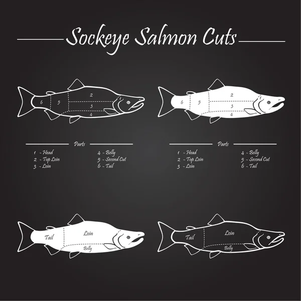 Sockeye Pacific salmon cutting diagram — Stock Vector