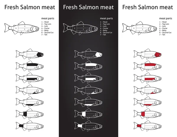 Свежая диаграмма резки мяса лосося — стоковый вектор