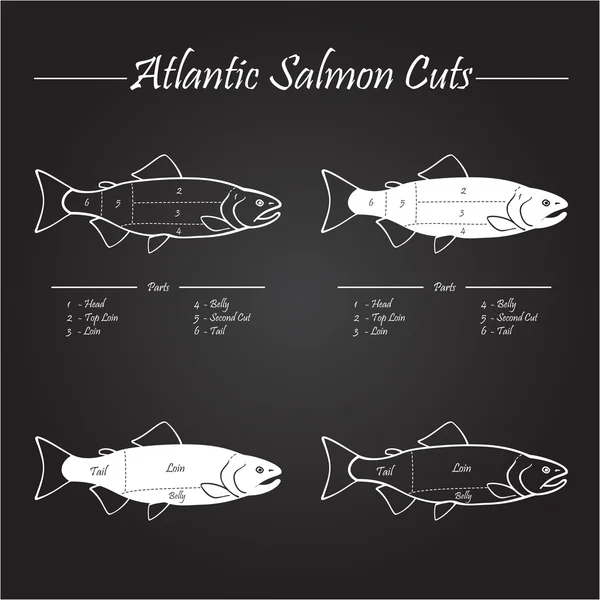 Diagramma di taglio del salmone atlantico norvegese — Vettoriale Stock