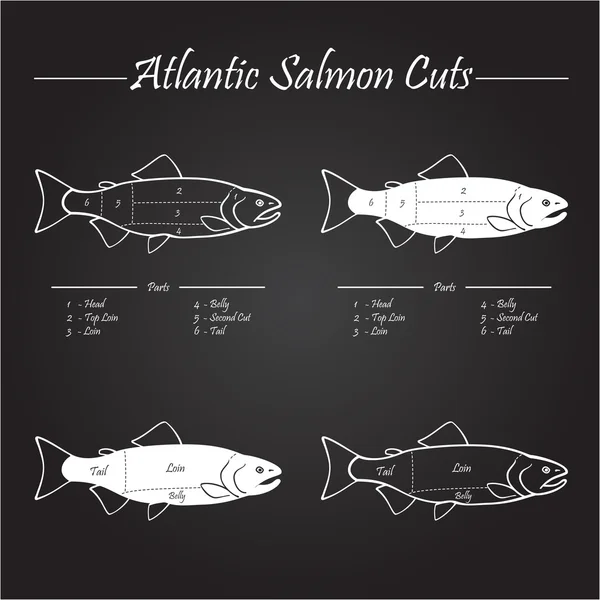 Noorse Atlantische zalm snijden diagram — Stockvector