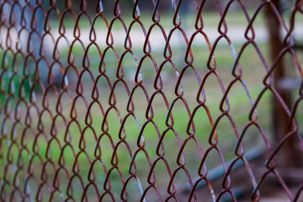 Iron hain fence — Stock Photo, Image