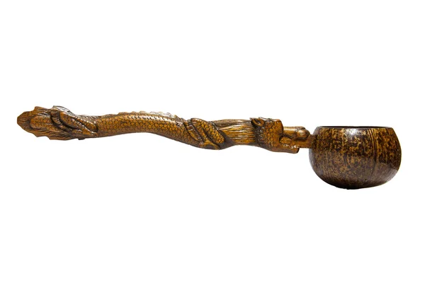Kokosový shell vodní drak — Stock fotografie