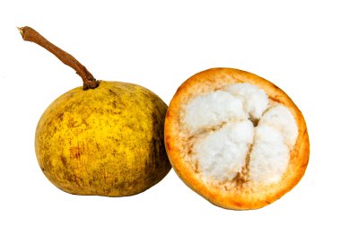 santol meyve 