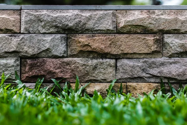 Grass and stone wall background — Stock Photo, Image