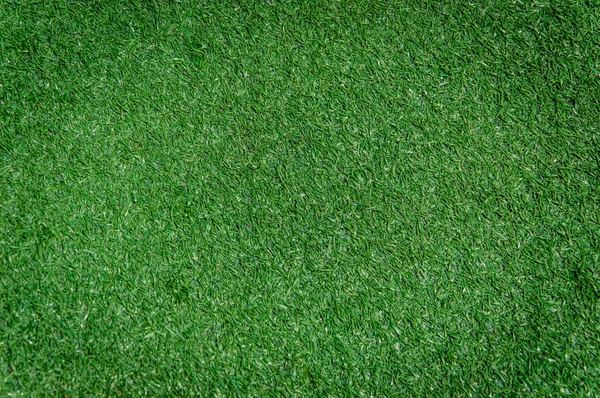 Texture of artificial Grass Field background — Stock Photo, Image