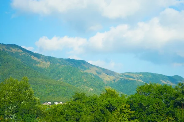 Bitkiler ile güzel Dağları