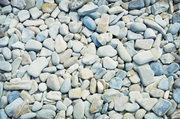 Sahilde denizin taşları