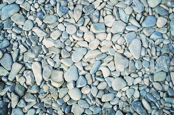 Sahilde denizin taşları