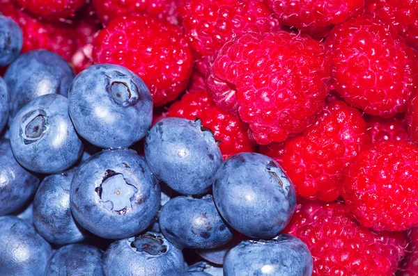 taze ve iştah açıcı çilek