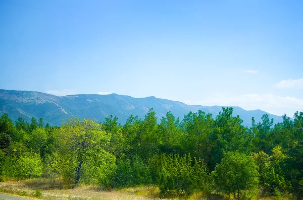 Bitkiler ile güzel Dağları