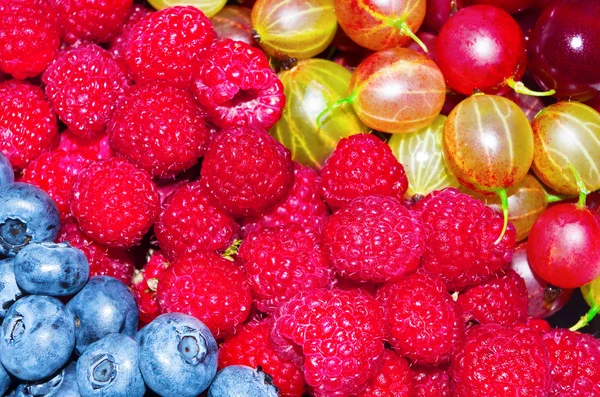 taze ve iştah açıcı çilek