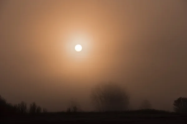 Wschód słońca we mgle — Zdjęcie stockowe