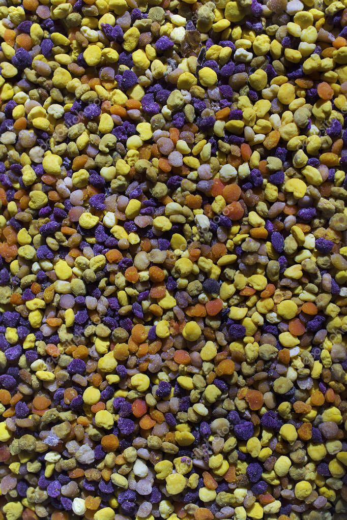 Bevitore Per Pulcini E Polli Kerbl 3L - Plastica Con Piedini - Foto 12