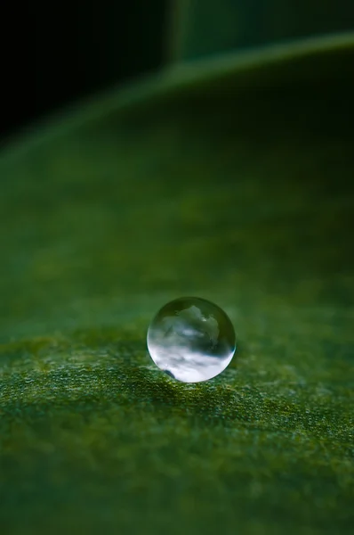 A drop of dew on a leaf — Stock Photo, Image