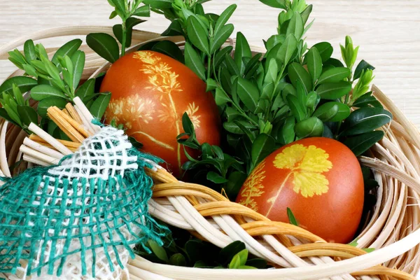 Wielkanoc Naturalne Kolorowe Jaja Koszyku Gniazdo Tradycyjnym Czeskim Biczem Drewniane — Zdjęcie stockowe